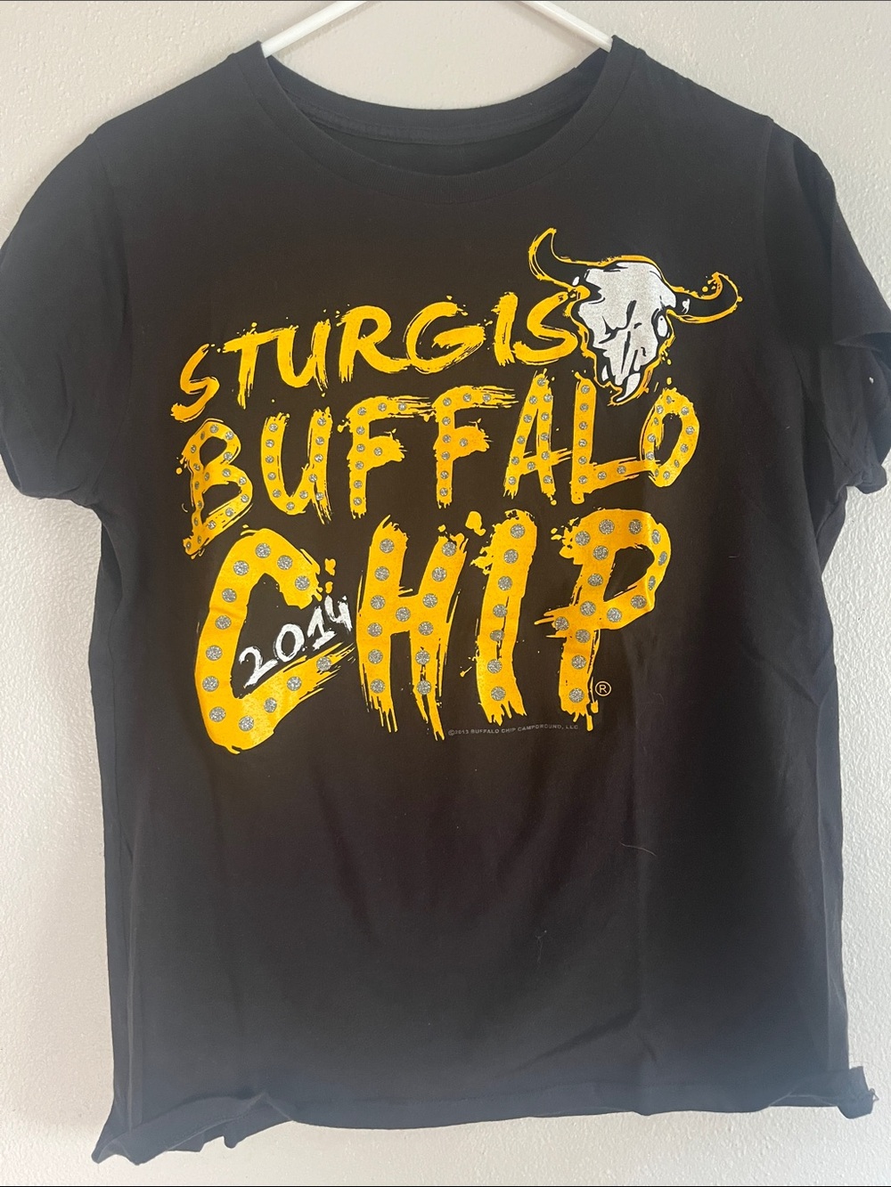 2014 Buffalo Chip Tee